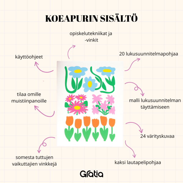 Koeapuri, Calla - Image 2